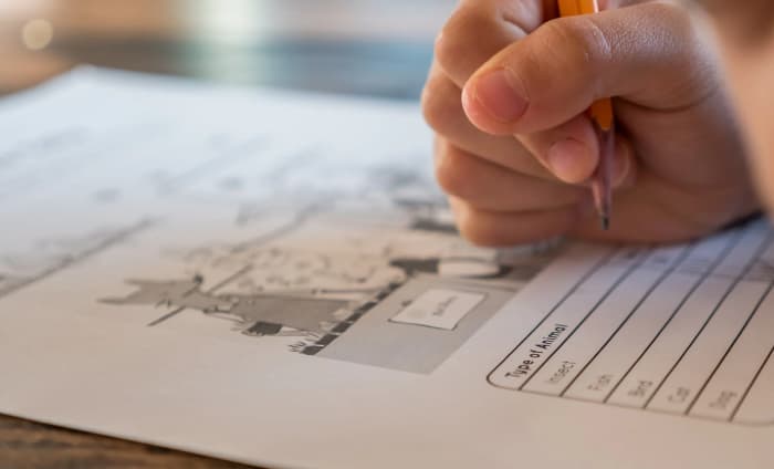 Close-up view of exam