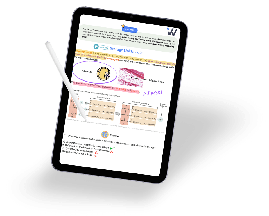 Digital Textbooks