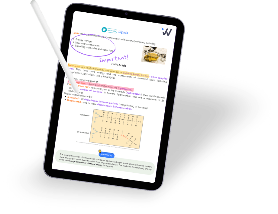 Digital Textbooks